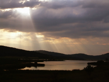 Мој Цариброд